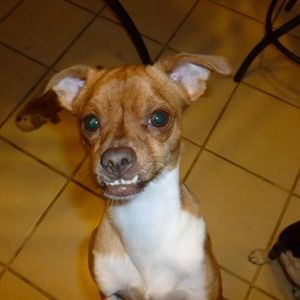 Meet your Posher, Linda